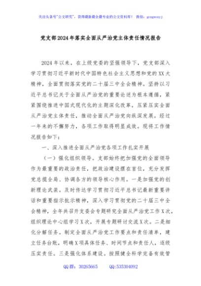 党支部2024年落实全面从严治党主体责任情况报告