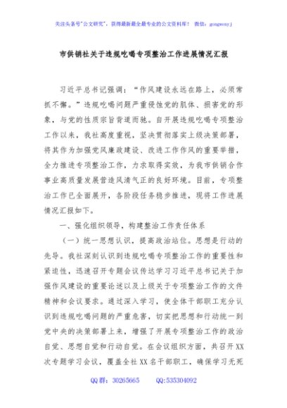 市供销社关于违规吃喝专项整治工作进展情况汇报