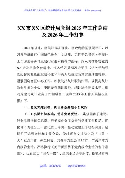 XX市XX区统计局党组2025年工作总结及2026年工作打算
