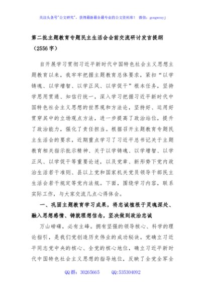 第二批主题教育专题民主生活会会前交流研讨发言提纲
