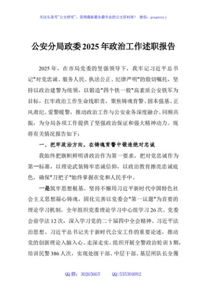 公安分局政委2025年政治工作述职报告