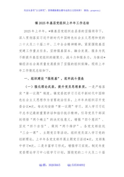 镇2025年基层党组织上半年工作总结