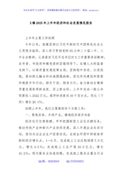 X镇2025年上半年经济和社会发展情况报告