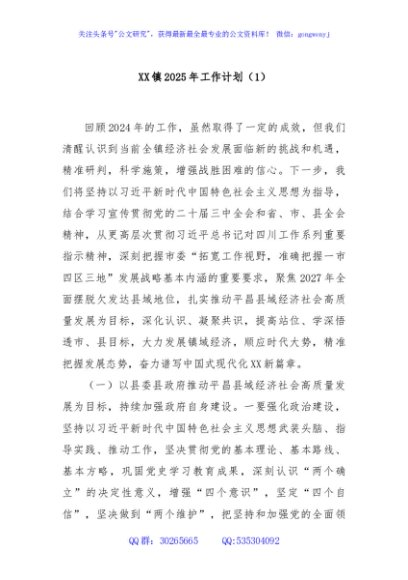XX镇2025年工作计划（1）