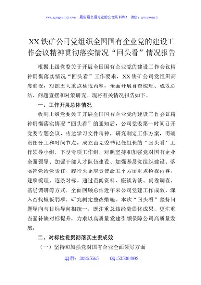 XX铁矿公司党组织全国国有企业党的建设工作会议精神贯彻落实情况“回头看”情况报告2