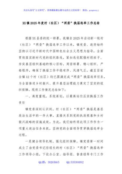 XX镇2025年度村（社区）“两委”换届选举工作总结