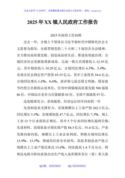 2025年XX镇人民政府工作报告