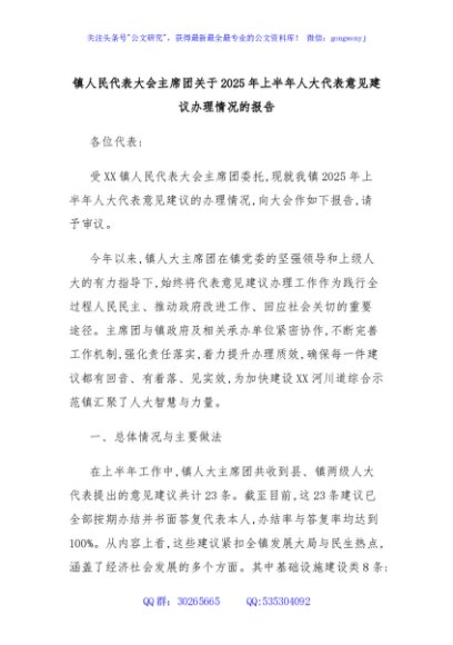 镇人民代表大会主席团关于2025年上半年人大代表意见建议办理情况的报告