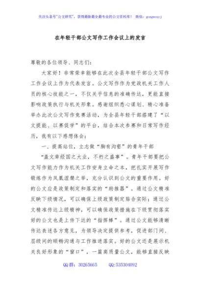 在年轻干部公文写作工作会议上的发言