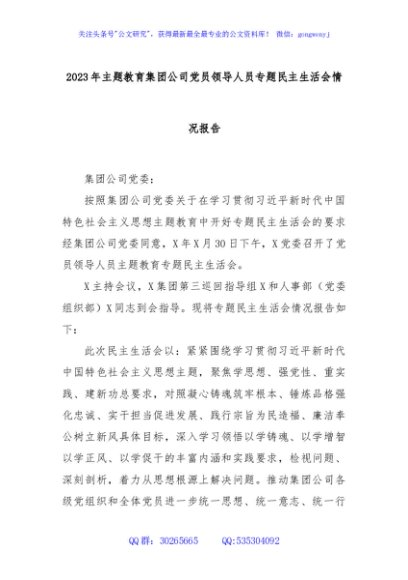 2023年主题教育集团公司党员领导人员专题民主生活会情况报告