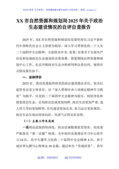 XX市自然资源和规划局2025年关于政治生态建设情况的自评自查报告