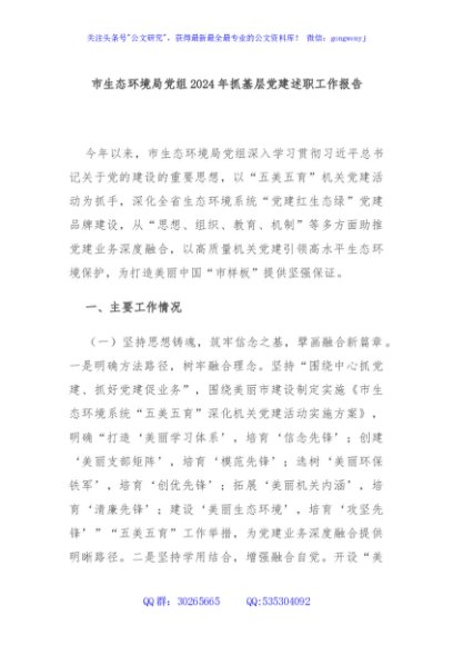 市生态环境局党组2024年抓基层党建述职工作报告