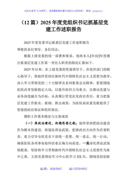 （12篇）2025年度党组织书记抓基层党建工作述职报告