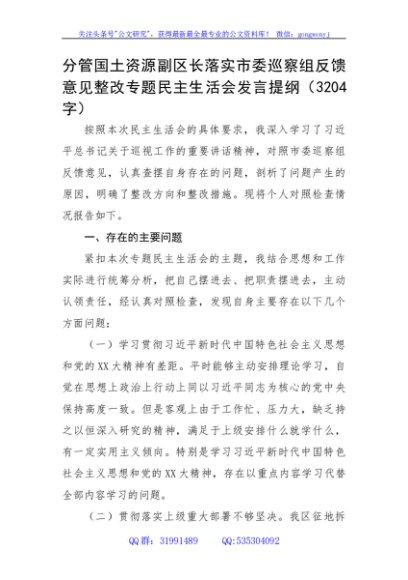 巡察整改专题民主生活会发言提纲