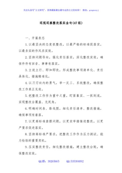 (47组)巡视巡察整改落实金句