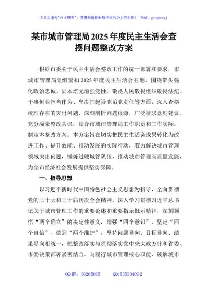 某市城市管理局2025年度民主生活会查摆问题整改方案