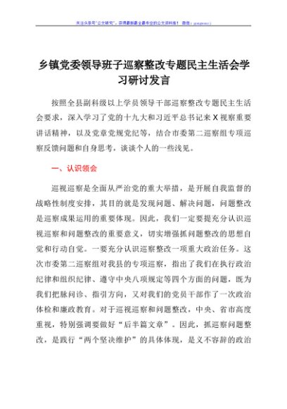乡镇党委领导班子巡察整改专题民主生活会学习研讨发言