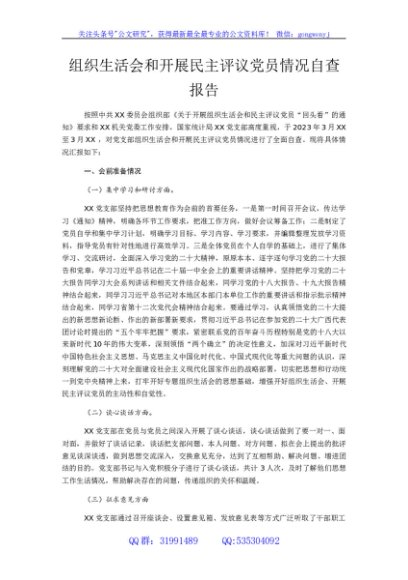 （会后）组织生活会和开展民主评议党员情况自查总结报告