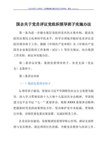 某国企关于党员评议党组织领导班子实施办法