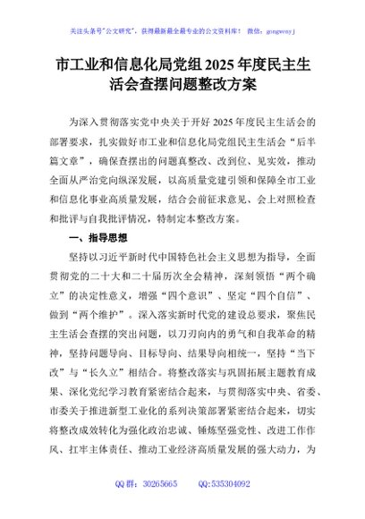 市工业和信息化局党组2025年度民主生活会查摆问题整改方案