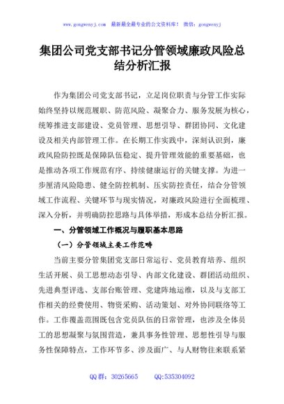 集团公司党支部书记分管领域廉政风险总结分析汇报