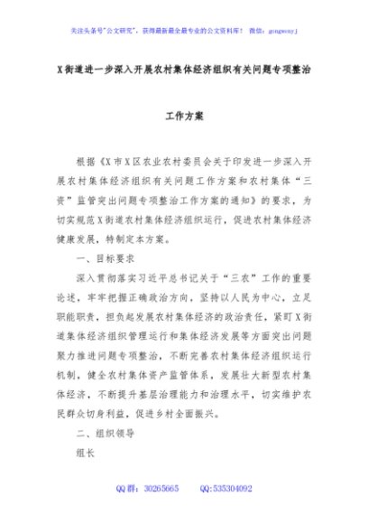 X街道进一步深入开展农村集体经济组织有关问题专项整治工作方案