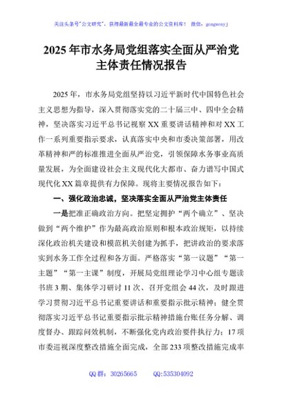 2025年市水务局党组落实全面从严治党主体责任情况报告