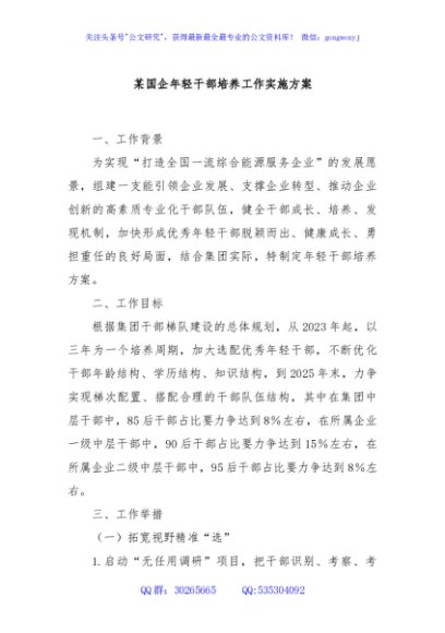某国企年轻干部培养工作实施方案