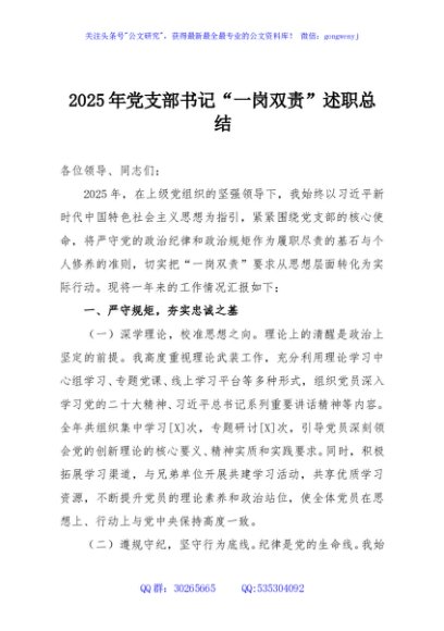 2025年党支部书记“一岗双责”述职总结