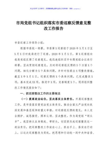 市局党组书记组织落实市委巡察反馈意见整改工作报告