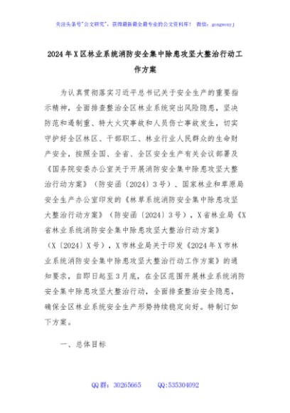 2024年X区林业系统消防安全集中除患攻坚大整治行动工作方案