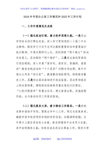 2024年市委办公室工作情况和2025年工作计划