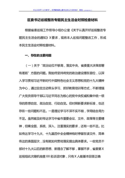 区委书记巡视整改专题民主生活会对照检查材料