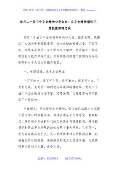 学习二十届三中全会精神心得体会：在全会精神指引下，勇挑重担铸忠诚