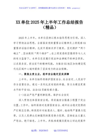 XX单位2025年上半年工作总结报告（精品）