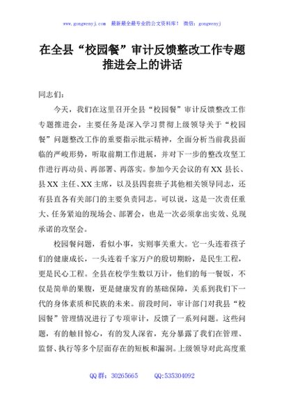 在全县“校园餐”审计反馈整改工作专题推进会上的讲话