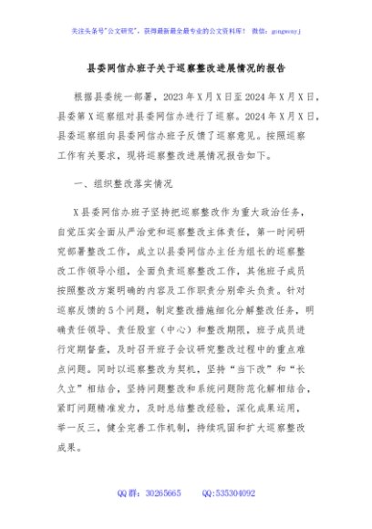 县委网信办班子关于巡察整改进展情况的报告