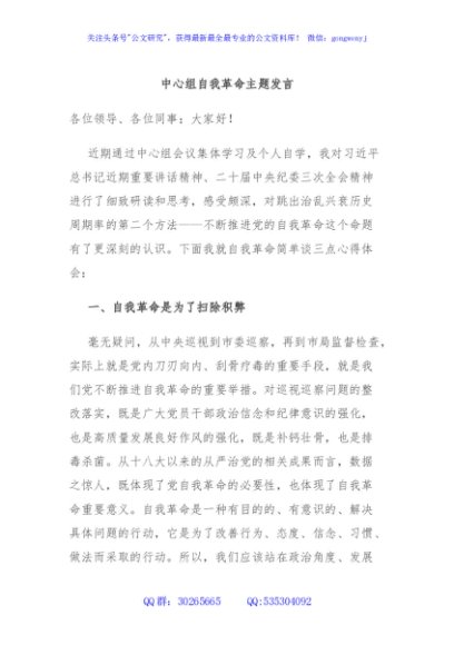 中心组自我革命主题发言