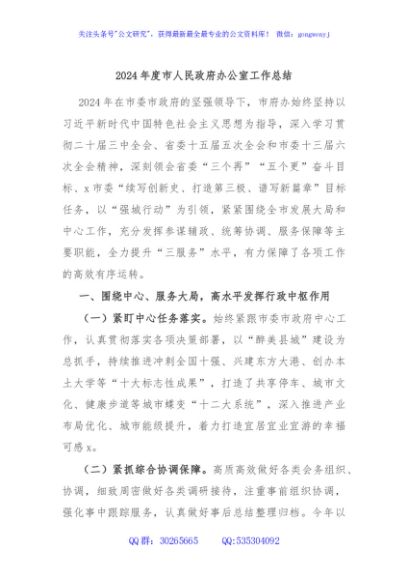 2024年度市人民政府办公室工作总结