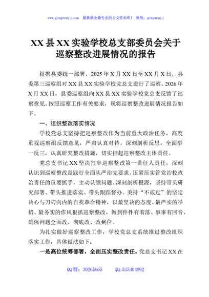 XX县XX实验学校总支部委员会关于巡察整改进展情况的报告