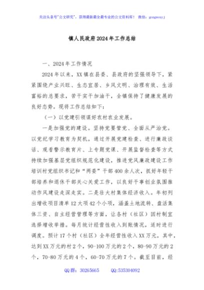 镇人民政府2024年工作总结