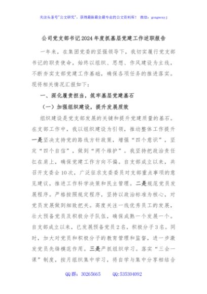公司党支部书记2024年度抓基层党建工作述职报告