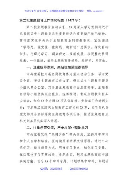 第二批主题教育工作情况报告