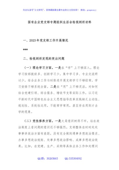 国有企业党支部专题组织生活会检视剖析材料