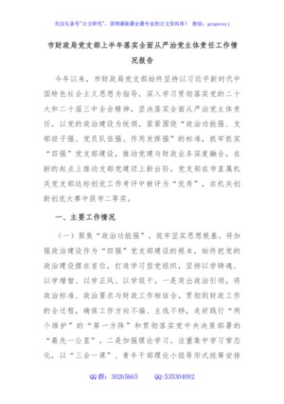 市财政局党支部上半年落实全面从严治党主体责任工作情况报告