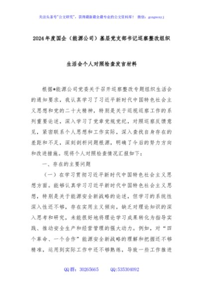2024年度国企（能源公司）基层党支部书记巡察整改组织生活会个人对照检查发言材料