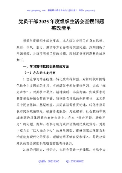 党员干部2025年度组织生活会查摆问题整改清单