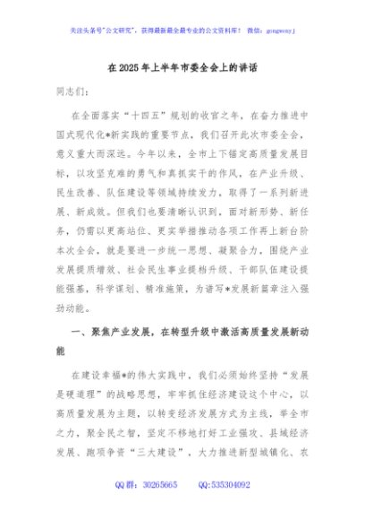 在2025年上半年市委全会上的讲话