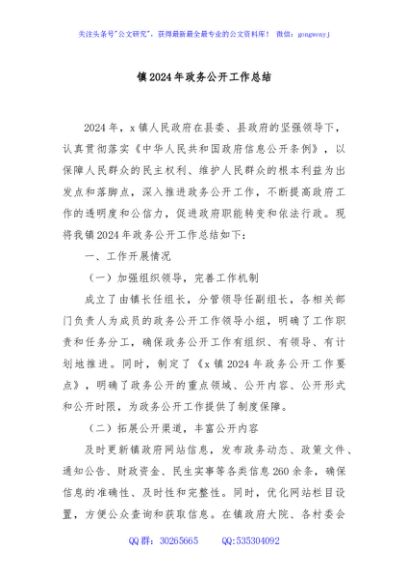 镇2024年政务公开工作总结