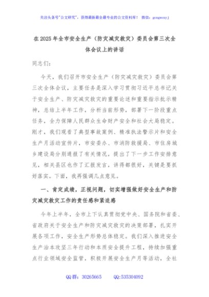 在2025年全市安全生产（防灾减灾救灾）委员会第三次全体会议上的讲话